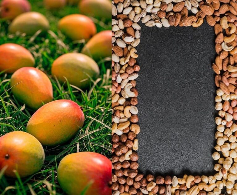 From Farm to Home Pure Mangoes & Dry Fruits