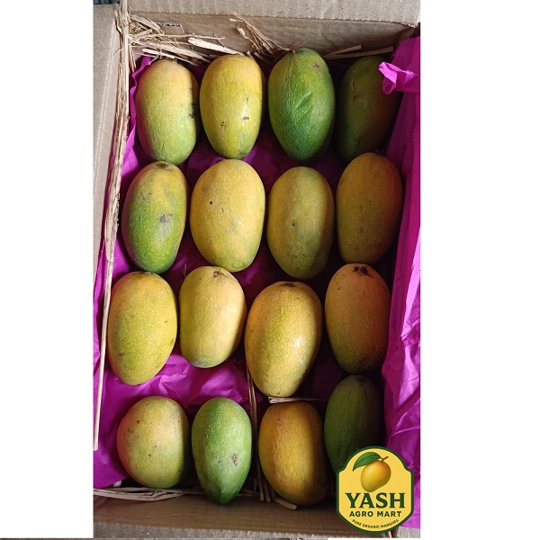 Premium Gir Kesar Mango from Gujarat