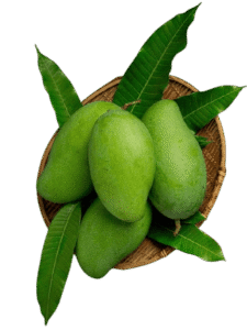 Organic Everyday Products yash agro mart